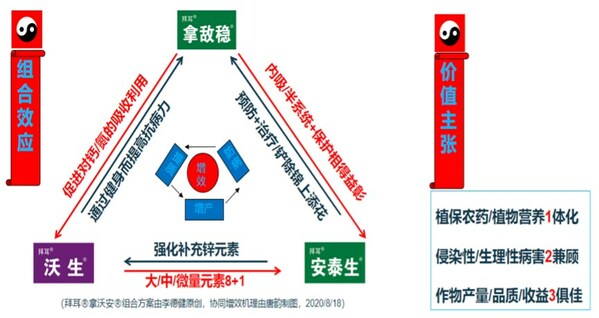 拿沃安®三大产品协同增效机理